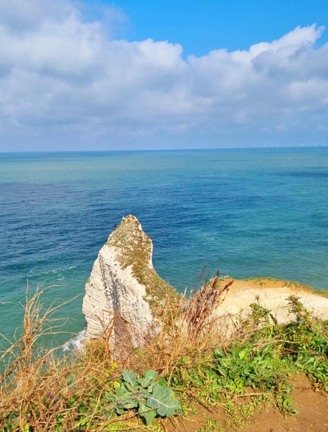 El Nido Proche D'etretat Et Fecamp * Vattetot-sur-Mer